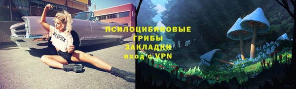 молекула духа Гусиноозёрск