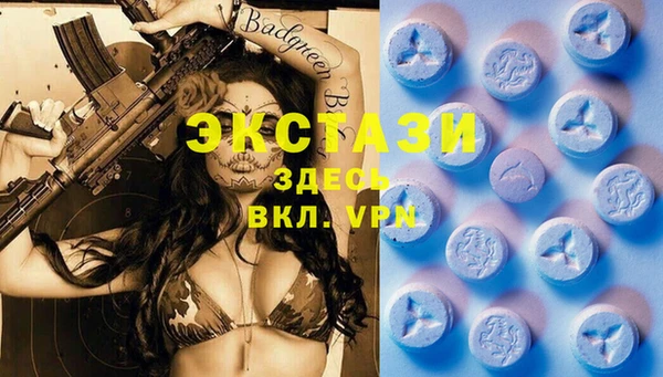 дмт Гусев