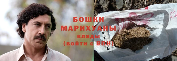 молекула духа Гусиноозёрск