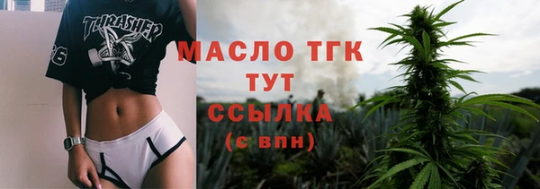 дмт Гусев