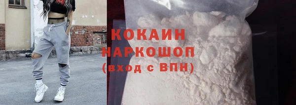 ПСИЛОЦИБИНОВЫЕ ГРИБЫ Гусь-Хрустальный