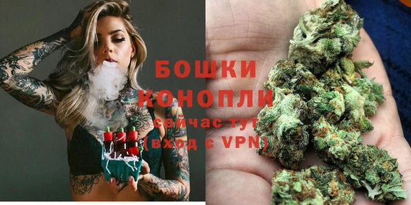 ПСИЛОЦИБИНОВЫЕ ГРИБЫ Гусь-Хрустальный