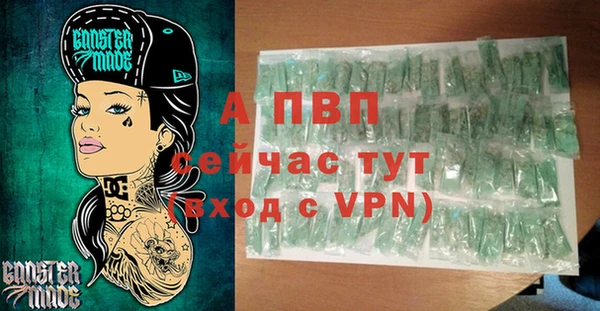 дмт Гусев