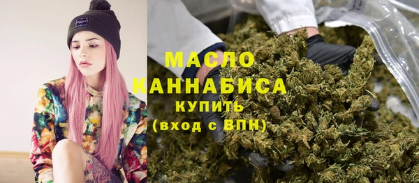 дмт Гусев