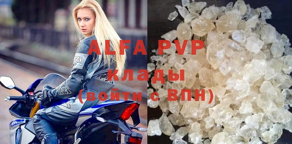дмт Гусев