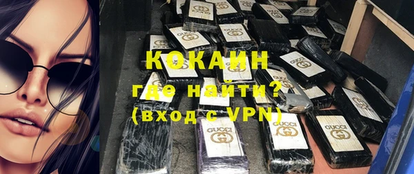 дмт Гусев