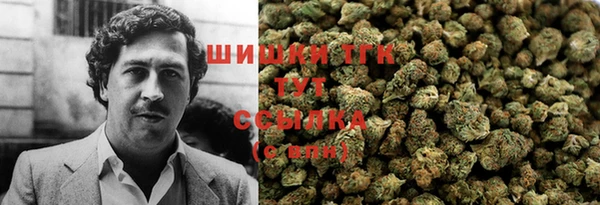 дмт Гусев