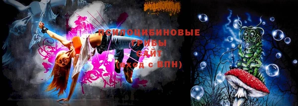 ПСИЛОЦИБИНОВЫЕ ГРИБЫ Гусь-Хрустальный