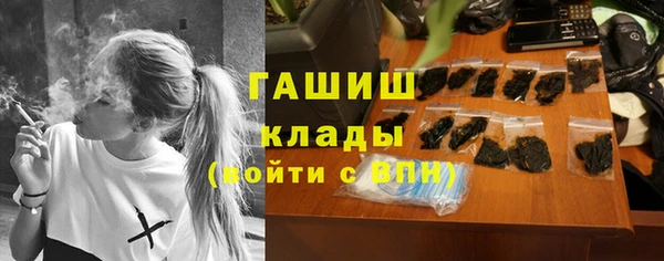 дмт Гусев