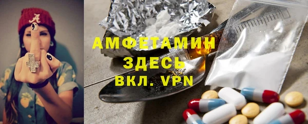 ПСИЛОЦИБИНОВЫЕ ГРИБЫ Гусь-Хрустальный