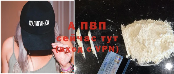 молекула духа Гусиноозёрск