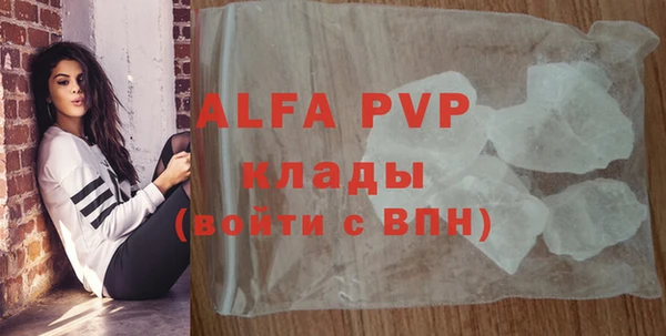 дмт Гусев