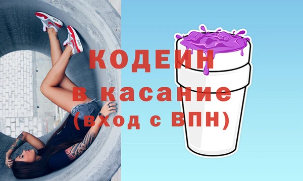 дмт Гусев