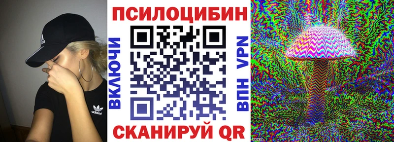 Купить где  Оленегорск  Псилоцибиновые грибы мицелий 